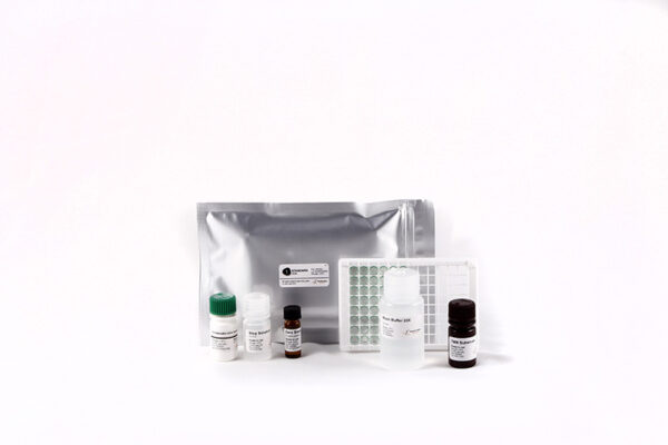 1-Standard Deoxynivalenol (DON) - immagine 2