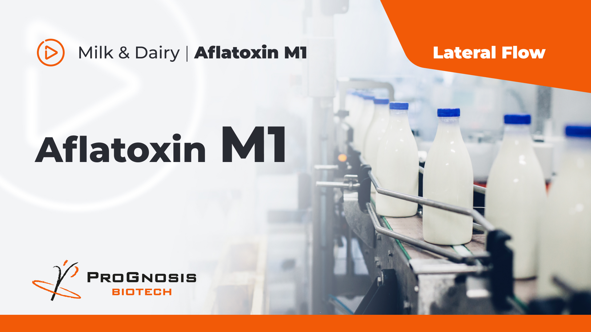 Aflatoxin M1 in Milk & Dairy