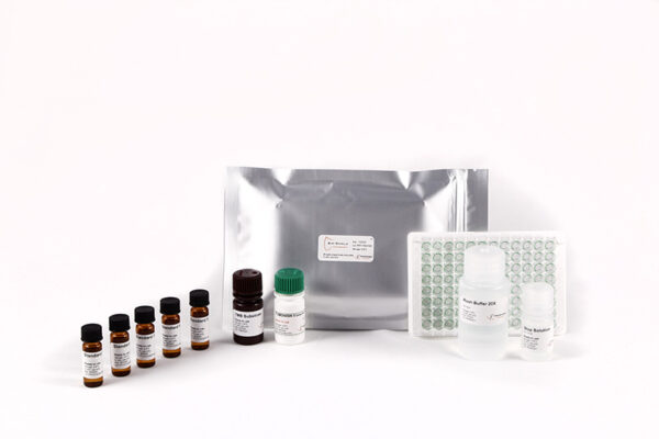 Bio-Shield Fumonisin 5 – Bild 2