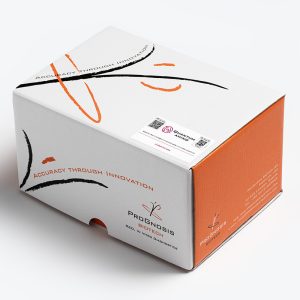 Quantum Amino