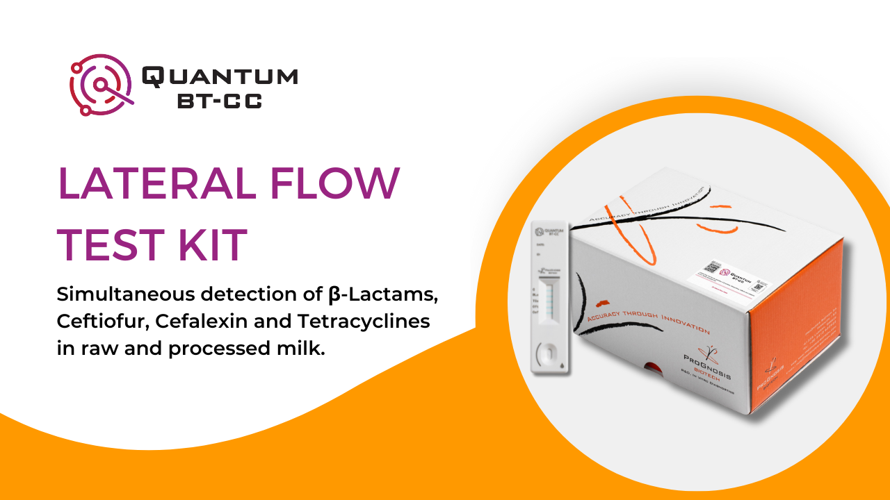 Quantum BT-CC